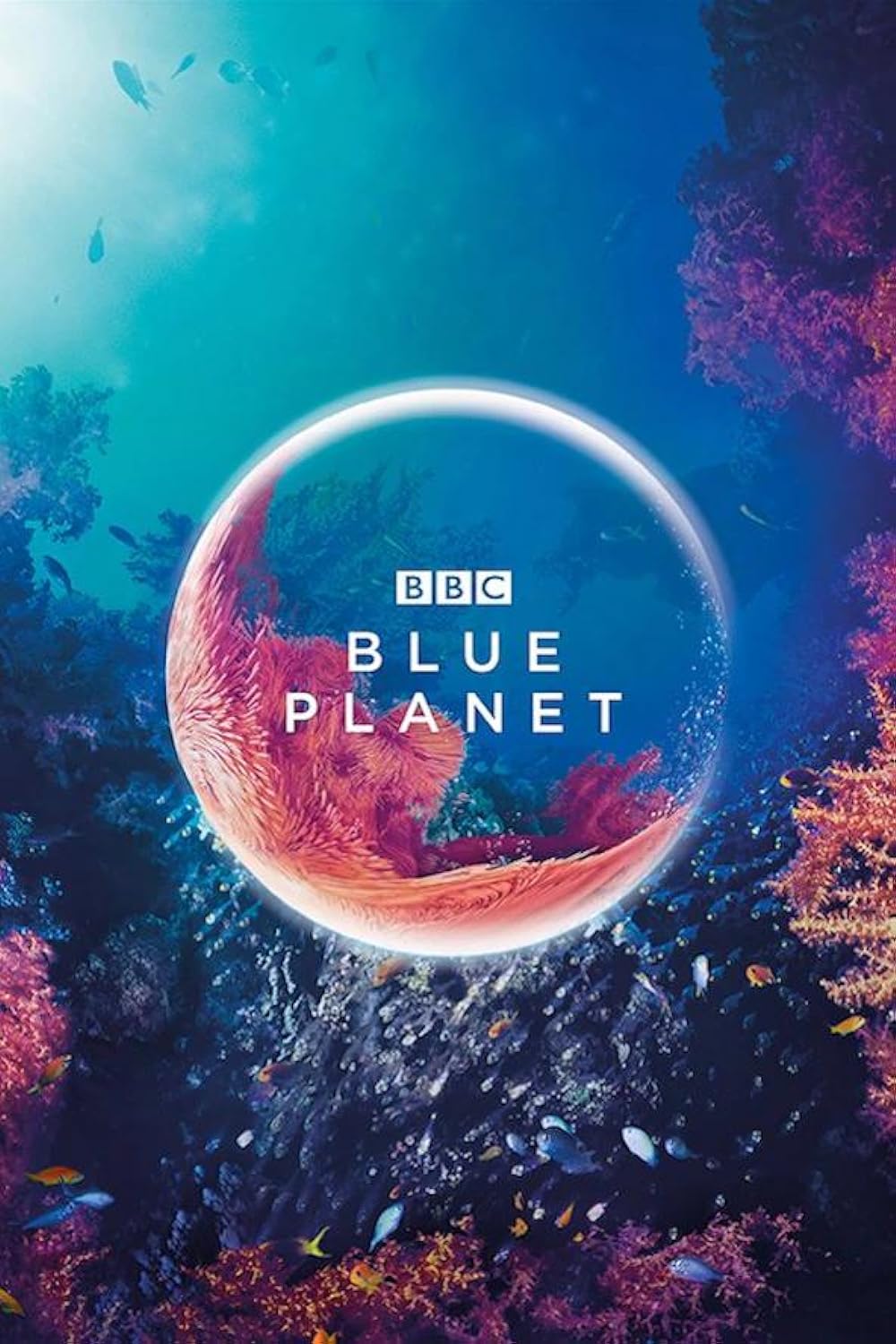 The Blue Planet (S01)